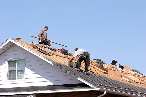 Best Roof Moss and Algae Removal  in Sandersville, GA
